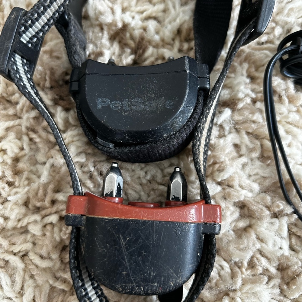 PetSafe Black and Red Pet Collar Set